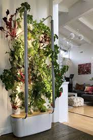 Home Indoor Farming Inside Garden Hydroponic Gardening
