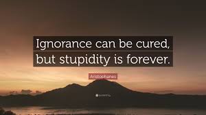 No cure for stupidity apr 11, 2018 at 5:10 pm in a scene from the movie forrest gump, forrest remarked, stupid is as stupid does, meaning, if you do something stupid, you're stupid. Aristophanes Quote Ignorance Can Be Cured But Stupidity Is Forever