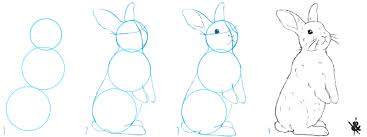 Un Petit Tuto Pour Apprendre A Dessiner Un Lapin Comment Dessiner Un Lapin Dessin Lapin Dessin Kawaii Animaux