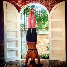 Want to see the top 10? Rima Doing A Headstand Picture Of Downtown Yoga Single Day Classes San Jose Tripadvisor