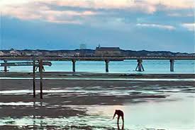 Theyearrounders Guide To Provincetown Dig A Pail Of Clams