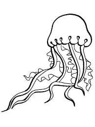 Pin By Velma Gentzsch On Life Tattoo Ideas Fish Coloring Page Animal Coloring Pages Online Coloring Pages