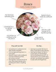 Our products are safe when used as directed. Diy Wedding Flower Care Fresh Flowers For Weddings Diy Wedding Flowers Wedding Flower Packages Bulk Wedding Flowers