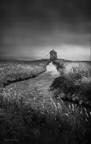 Summer Breeze Black And White Landscape Monochrome Photograph Nature Photography