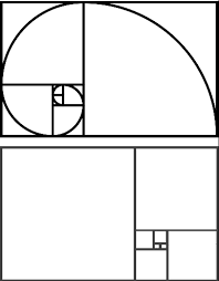 Résultat de recherche d'images pour "nombre d'or corps humain"