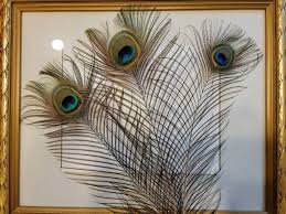 Milan's peacock Percy retires from public life