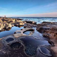 Botanical Beach Port Renfrew Amazing Tidal Pools Filled With Little Sea Creatures Exploring The Travel Vancouver Island Vancouver Island Vancouver Beach