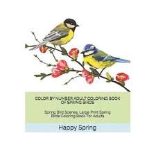 Today, easy designs are available for kids; Color By Number Adult Coloring Book Of Spring Birds Spring Bird Scenes Large Print Spring Birds Coloring Book For Adults Buy Online In South Africa Takealot Com