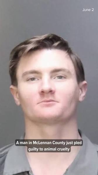 A man has been sentenced to five years in prison after pleading guilty to  abusing a dog in a video that spread on social media Click Watch Live at  the link in our bio for the latest live news and ...