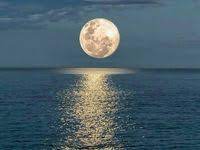 Frekuensi yang dipancarkan bulan purnama dan bulan baru mempengaruhi frekuensi tubuh mental, yakni pikiran manusia. 11 Ide Bulan Purnama Bulan Purnama Fotografi Alam Pemandangan