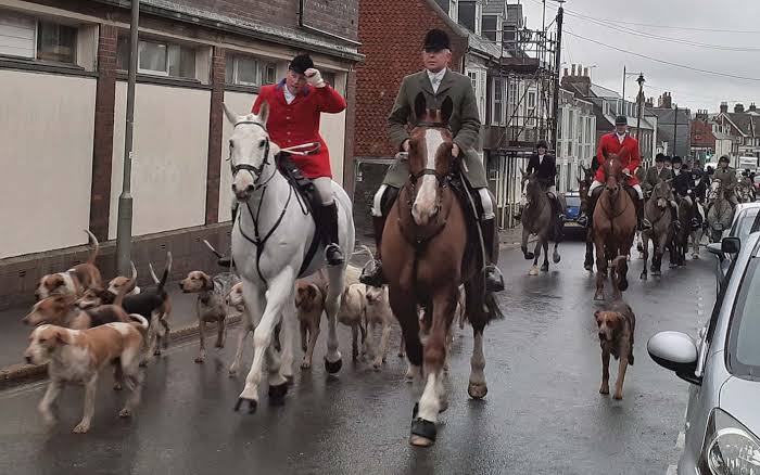 The smokescreen of trail hunting and why hunt meets on public land should be banned - Born Free