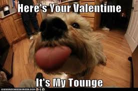 I Has A Hotdog Valentines Day Funny Dog Pictures Dog Memes Puppy Pictures Pictures Of Dogs Dog Pictures Funny Pictures Of Dogs Dog Memes Puppy Pictures Doge Cheezburger See more of funny valentines day memes, jokes, valentine meme pictures on facebook. valentines day funny dog pictures