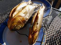 Fische Rauchern Und Eine Anleitung Dazu Von Fischen Und Pelzen Fisch Rauchern Fische Rauchern Anleitung