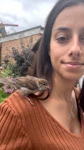 Albert Grillo's Instagram, Twitter & Facebook