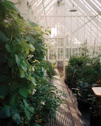 If you want to build an inexpensive greenhouse you may use thick plastic that is bought on rolls. Having Your Very Own Greenhouse Is Not For The Faint Of Heart Bloomberg