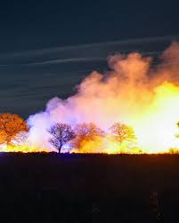 Heidebrand bij Baggelhuizerplas in Assen onder controle