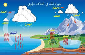 الدورة الهيدرولوجية أو دورة الماء Hydrological Cycle