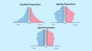 Population Pyramids Geography Myp Gcse Dp