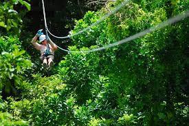 Jack In The Box Gully Zip Review Of Aerial Trek Zipline Adventures Saint Thomas Parish Barbados Tripadvisor