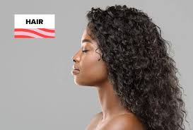 Protective styles protect natural hair. 8 Beginner Friendly Protective Styles To Try At Home