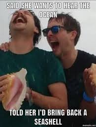 Funny Seashell Meme Sea Shells Memes Funny