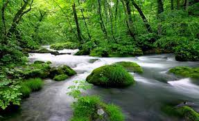 Ideas For Nature Full Screen Desktop Wallpaper Hd Wallpaper See high quality wallpapers follow the tag #3d wallpaper for pc full screen.