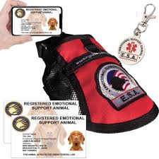 You might think you have to jump through hoops to certify your pet as an emotional support animal but it`s easier than you think and that may come at a cost to people who need the service the most. Deluxe Esa Emotional Support Animal Mesh Vest Kit For Dogs