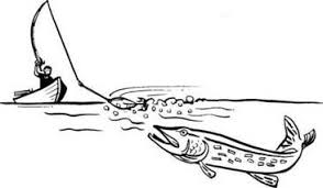 Insanescouter Northern Pike Scout Resources Drawn Fish Fish Drawings Drawings