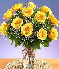 Everyone knows that flowers have meaning, but not everyone knows the meaning of flowers. What Do Yellow Roses Represent The Symbolism Of A Rose