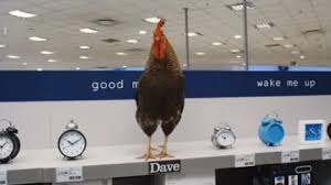 Dave : 2014 Idents : The Ident Gallery
