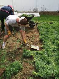 Preparing Your Soil For Planting Vegetables Portland Edible Gardens Raised Garden Beds Edible Landscaping And Vegetable Garden Help In Portland Or Soil For Plants Planting Vegetables Garden Help