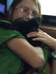 Lost all black kitten named Shadow?