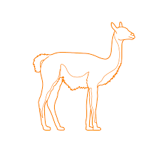 Get through 400 bales of hay a year, thousands of gallons of water and fed on a diet of sugar beat, barley and oats. Bactrian Camel Dimensions Drawings Dimensions Com