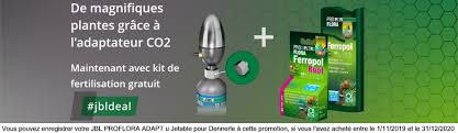 Jbl Proflora Adapt U Pour Utiliser Une Bouteille 500 Gr Jetable Jbl Sur Un Detendeur Dennerle Systeme Co2 Et Accessoires Accessoires Pour Systeme Co2 Akouashop Com Aquariophilie