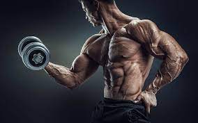 Legs, dumbbell, sport, bodybuilding 4k wallpaper. Bodybuilding 1080p 2k 4k 5k Hd Wallpapers Free Download Wallpaper Flare