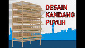 Check spelling or type a new query. Quail Cage Plan Desain Kandang Puyuh Youtube