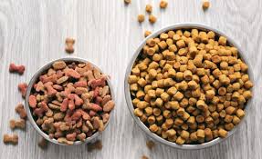 Complete the pop up donation waiver. 9 Best Dog Food Storage Containers 2021 Keeping Fido S Kibble Fresh