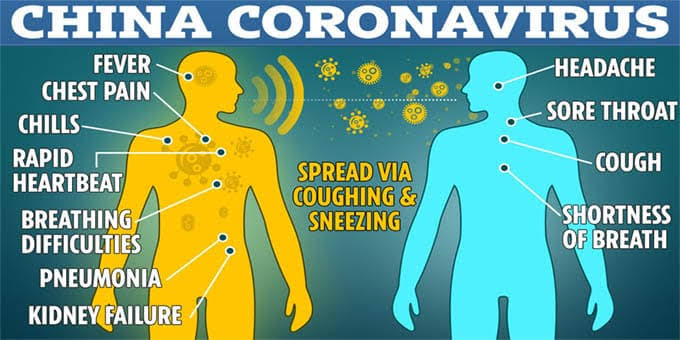 Image result for novel coronavirus"