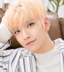 Idol In Love Joshua Seventeen Seventeen Kpop Seventeen