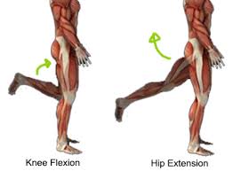 We did not find results for: What Is Kinesiology And Why It Is So Important For The Pt Fatch Fitness