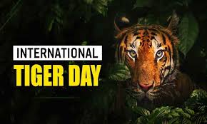 Mary kom in action at 3.30 pm ist; International Tiger Day 2020 10 Facts About The Big Cats