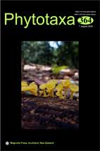 Image result for Ceropegia cyperifolia