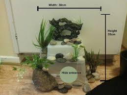 Click The Image To Open In Full Size Homemade Aquarium Decorations Fish Tank Decorations Diy Aquarium Decor