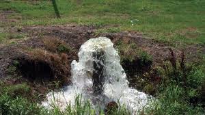 We did not find results for: Water Level Management Bmps Cut Water Use Pond Effluents Global Aquaculture Advocate