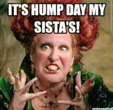 See more ideas about work memes, work humor, bones funny. 80 Really Funny Wednesday Memes To Make Brighten Your Hump Day Dreams Quote