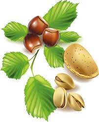 Food My Free Photoshop World Food Clipart Fruit And Veg Food