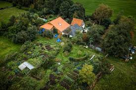 Zou zijn kinderen tegen hun wil hebben vastgehouden op een afgelegen boerderij nabij het drentse dorp ruinerwold. Ontsnapte Zoon Ruinerwold Gezin Trok Enkele Dagen Voor Inval In Boerderij Aan De Bel Bij Gemeente Drenthe Ad Nl