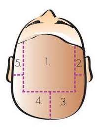 Hair Sectioning Pattern Diagram For Multi Colored Streaks Google Hair Color Placement Diy Highlights Hair Hair Foils
