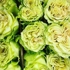 Maybe you would like to learn more about one of these? Metropolitan Wholesale Home Facebook