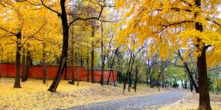 江苏大学主页平台管理系统 Muhammad Wajid Ullah--Home--Home